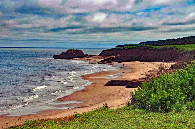 beach and coastline